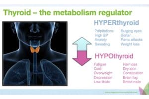 Thyroid-Blog